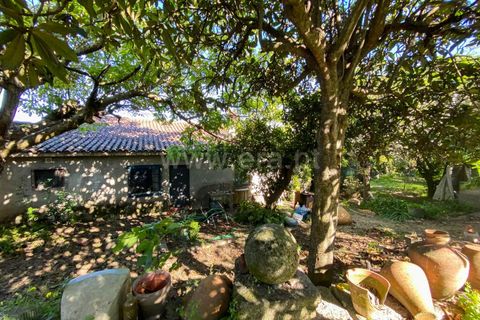 Villa i Fundao, Castelo Branco, Fundao - € 161.000 | Ref: 102240007 - foto 21