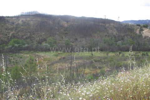 Tomt i Proenca-a-Nova, Castelo Branco, Proenca-a-Nova - € 20 000 | Ref: 102240124 - foto 3