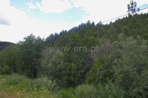 Tomt i Proenca-a-Nova, Castelo Branco, Proenca-a-Nova - € 20 000 | Ref: 102240124 - foto 6