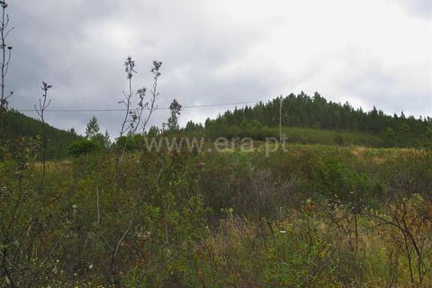 Tomt i Proenca-a-Nova, Castelo Branco, Proenca-a-Nova - € 20 000 | Ref: 102240124 - foto 7