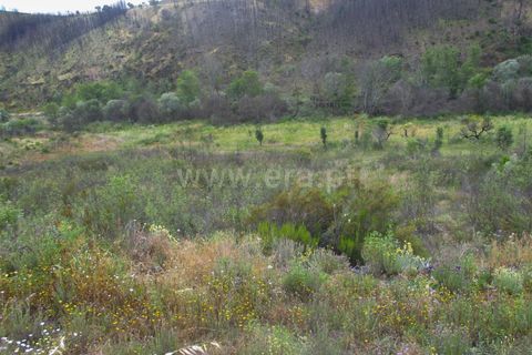 Tomt i Proenca-a-Nova, Castelo Branco, Proenca-a-Nova - € 20 000 | Ref: 102240124 - foto 9
