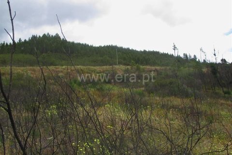 Tomt i Proenca-a-Nova, Castelo Branco, Proenca-a-Nova - € 20 000 | Ref: 102240124 - foto 10