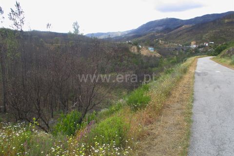 Tomt i Proenca-a-Nova, Castelo Branco, Proenca-a-Nova - € 20 000 | Ref: 102240124 - foto 11
