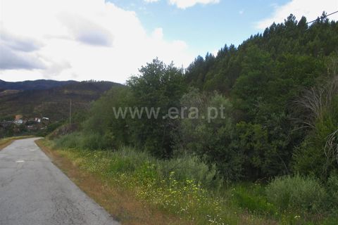 Tomt i Proenca-a-Nova, Castelo Branco, Proenca-a-Nova - € 20 000 | Ref: 102240124 - foto 12