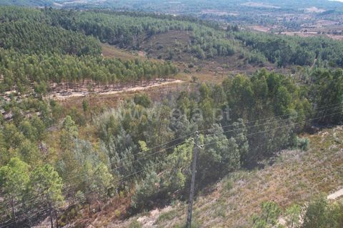 Helårsgrund i Castelo Branco, Castelo Branco, Castelo Branco - € 10.000 | Ref: 102240248 - foto 2