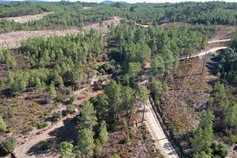 Helårsgrund i Castelo Branco, Castelo Branco, Castelo Branco - € 10.000 | Ref: 102240247 - foto 3
