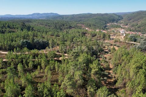 Helårsgrund i Castelo Branco, Castelo Branco, Castelo Branco - € 10.000 | Ref: 102240247 - foto 4