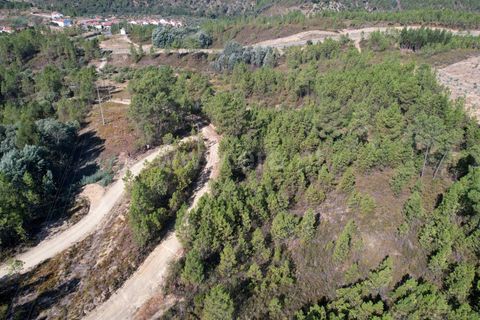 Helårsgrund i Castelo Branco, Castelo Branco, Castelo Branco - € 10.000 | Ref: 102240247 - foto 5