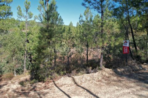 Helårsgrund i Castelo Branco, Castelo Branco, Castelo Branco - € 10.000 | Ref: 102240247 - foto 8