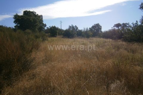 Helårsgrund i Castelo Branco, Castelo Branco, Castelo Branco - € 27.000 | Ref: 102240249 - foto 2
