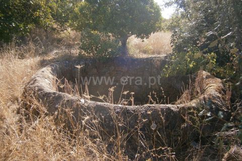 Helårsgrund i Castelo Branco, Castelo Branco, Castelo Branco - € 27.000 | Ref: 102240249 - foto 3