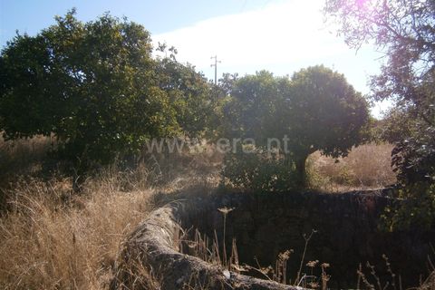 Helårsgrund i Castelo Branco, Castelo Branco, Castelo Branco - € 27.000 | Ref: 102240249 - foto 4