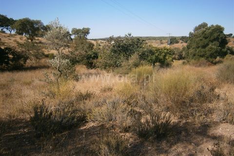 Helårsgrund i Castelo Branco, Castelo Branco, Castelo Branco - € 27.000 | Ref: 102240249 - foto 6