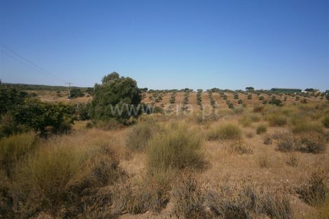 Helårsgrund i Castelo Branco, Castelo Branco, Castelo Branco - € 27.000 | Ref: 102240249 - foto 7