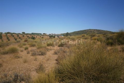 Helårsgrund i Castelo Branco, Castelo Branco, Castelo Branco - € 27.000 | Ref: 102240249 - foto 8