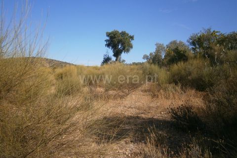 Helårsgrund i Castelo Branco, Castelo Branco, Castelo Branco - € 27.000 | Ref: 102240249 - foto 10