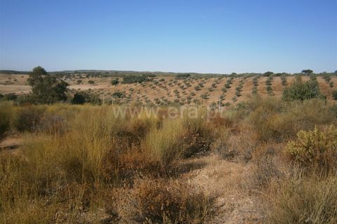 Helårsgrund i Castelo Branco, Castelo Branco, Castelo Branco - € 27.000 | Ref: 102240249 - foto 11
