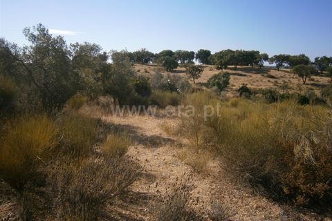 Helårsgrund i Castelo Branco, Castelo Branco, Castelo Branco - € 27.000 | Ref: 102240249 - foto 12