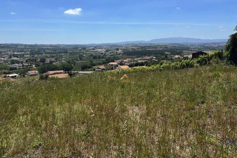 Helårsgrund i Bombarral, Leiria, Bombarral - € 55.000 | Ref: 00110 - foto 9
