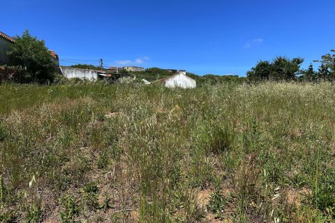 Helårsgrund i Bombarral, Leiria, Bombarral - € 55.000 | Ref: 00110 - foto 12