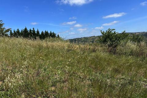Helårsgrund i Bombarral, Leiria, Bombarral - € 55.000 | Ref: 00110 - foto 15