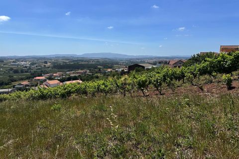 Helårsgrund i Bombarral, Leiria, Bombarral - € 65.000 | Ref: 00109 - foto 8