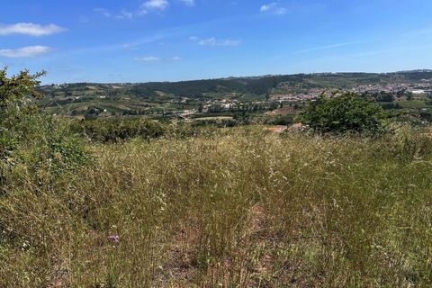 Helårsgrund i Bombarral, Leiria, Bombarral - € 65.000 | Ref: 00109 - foto 12
