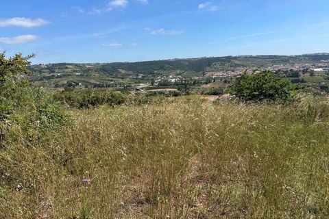 Helårsgrund i Bombarral, Leiria, Bombarral - € 65.000 | Ref: 00109 - foto 17
