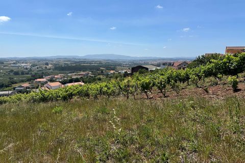 Helårsgrund i Bombarral, Leiria, Bombarral - € 65.000 | Ref: 00109 - foto 21