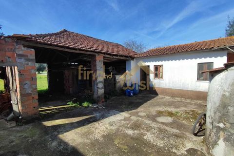 Villa i Ansiao, Leiria, Ansiao - € 89 000 | Ref: 00089 - foto 4