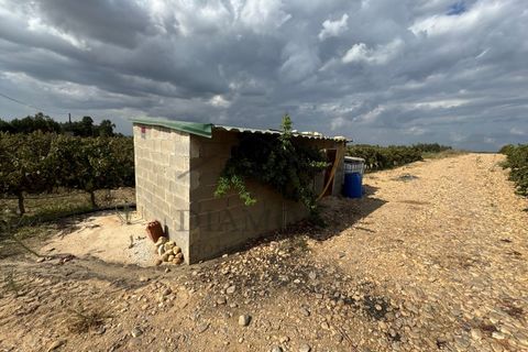 Helårsgrund i Alpiarca, Santarem, Alpiarca - € 150.000 | Ref: DHTR-0008/24 - foto 3