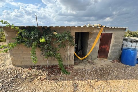 Helårsgrund i Alpiarca, Santarem, Alpiarca - € 150.000 | Ref: DHTR-0008/24 - foto 5