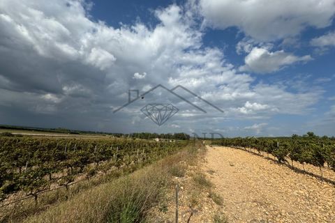 Helårsgrund i Alpiarca, Santarem, Alpiarca - € 150.000 | Ref: DHTR-0008/24 - foto 6