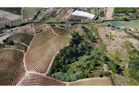 Helårsgrund i Mafra, Lisbon, Mafra - € 35.000 | Ref: ADV_335 - foto 5