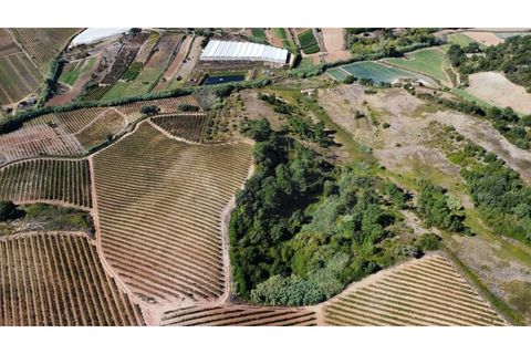 Helårsgrund i Mafra, Lisbon, Mafra - € 35.000 | Ref: ADV_335 - foto 6