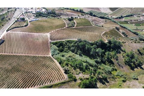 Helårsgrund i Mafra, Lisbon, Mafra - € 35.000 | Ref: ADV_335 - foto 8