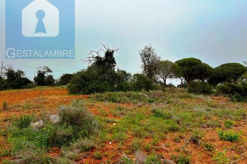 Helårsgrund i Guia, Faro, Guia - € 199.000 | Ref: VP1705 - foto 5