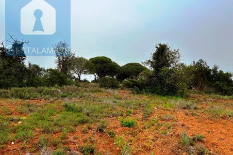 Helårsgrund i Guia, Faro, Guia - € 199.000 | Ref: VP1705 - foto 6
