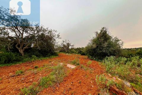 Helårsgrund i Guia, Faro, Guia - € 199.000 | Ref: VP1705 - foto 8