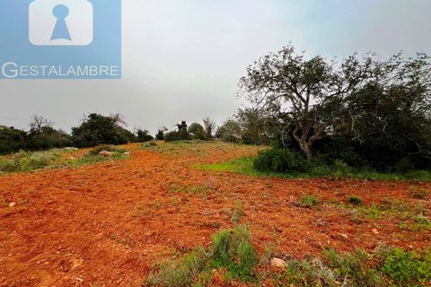 Helårsgrund i Guia, Faro, Guia - € 199.000 | Ref: VP1705 - foto 10
