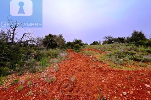 Helårsgrund i Guia, Faro, Guia - € 199.000 | Ref: VP1705 - foto 12