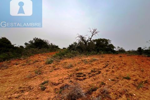 Helårsgrund i Guia, Faro, Guia - € 199.000 | Ref: VP1705 - foto 13