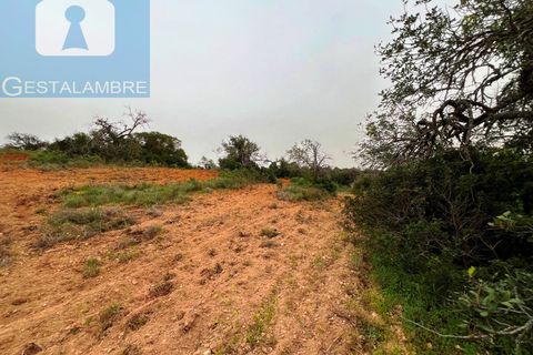Helårsgrund i Guia, Faro, Guia - € 199.000 | Ref: VP1705 - foto 15