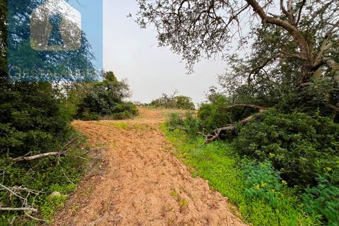 Helårsgrund i Guia, Faro, Guia - € 199.000 | Ref: VP1705 - foto 16