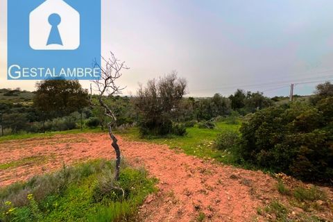 Helårsgrund i Guia, Faro, Guia - € 199.000 | Ref: VP1705 - foto 18