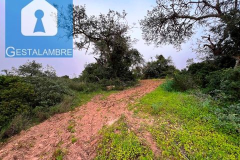 Helårsgrund i Guia, Faro, Guia - € 199.000 | Ref: VP1705 - foto 19