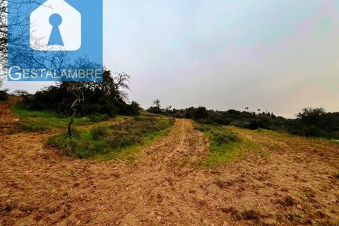 Helårsgrund i Guia, Faro, Guia - € 199.000 | Ref: VP1705 - foto 20