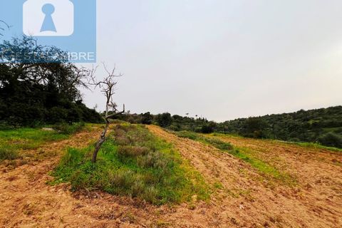 Helårsgrund i Guia, Faro, Guia - € 199.000 | Ref: VP1705 - foto 21