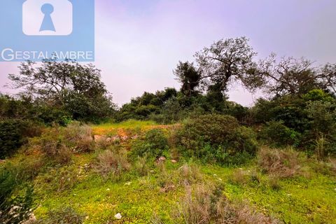 Helårsgrund i Guia, Faro, Guia - € 199.000 | Ref: VP1705 - foto 22