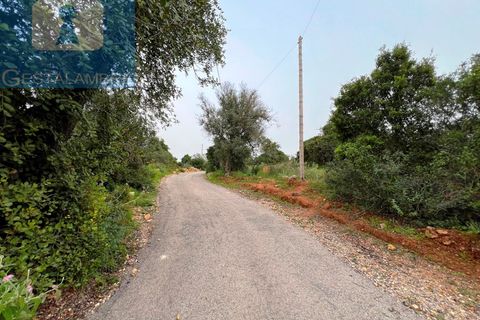 Helårsgrund i Guia, Faro, Guia - € 199.000 | Ref: VP1705 - foto 23